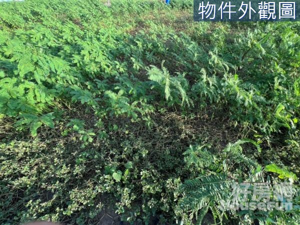 路竹大面寬蓁漂亮方正農地