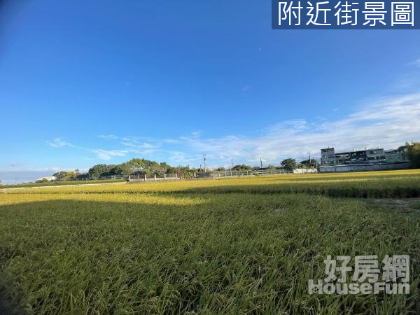 平鎮台水段/66快速道路旁都計內美農地