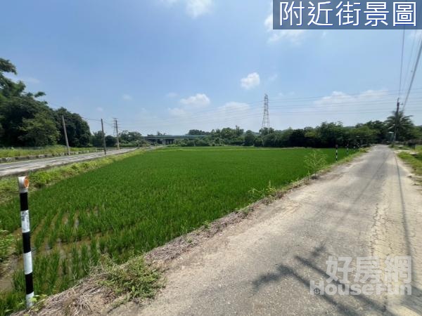 台南六甲區大面寬免整地☆都內方正優質農地