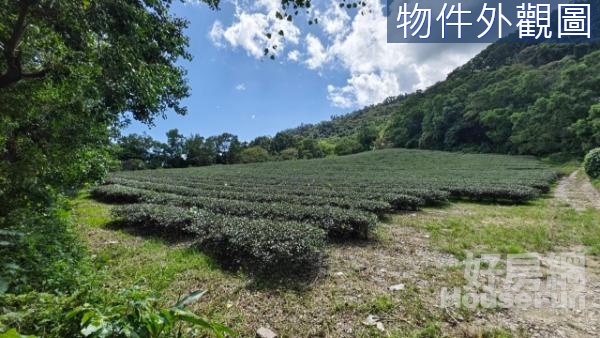 💥獨家專售台東延平鄉有水有電景觀美原保農地