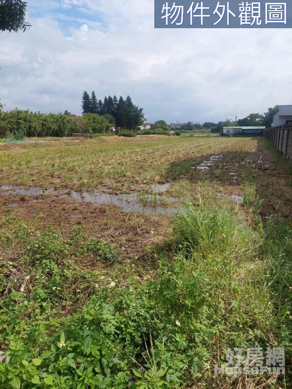 湖口漂亮田