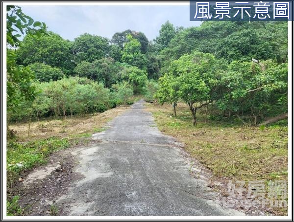 戀戀台三線南化丙建大農地