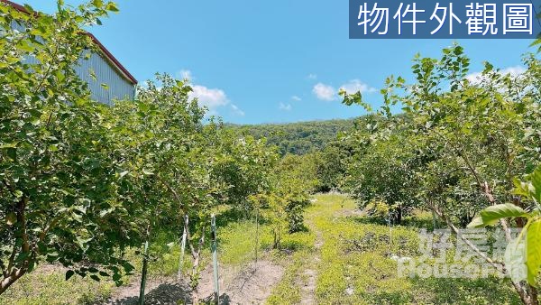 頭城武營雙面路住宅建地,近烏石港重劃區蘭陽博物館