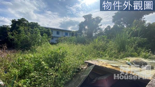 🌈壽豐近雲山水雙面臨路方正鄉村乙建🌈