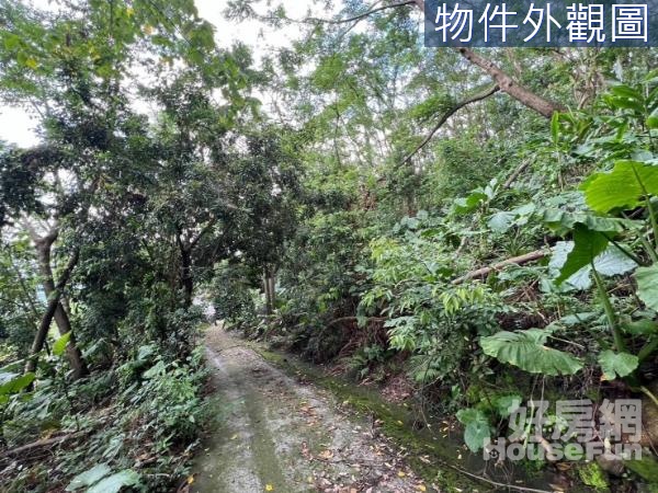 關子嶺咖啡公路旁景觀農地