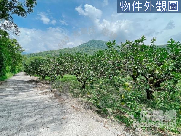 瑞穗溫泉區柚香農地　B285