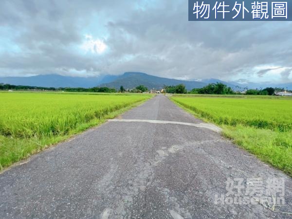 🍀鳳林大華路邊方正平坦肥沃綠農地🍀