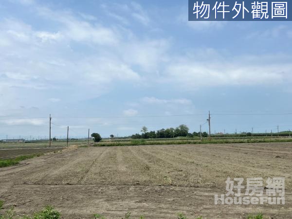 元長3.3分千坪大面寬臨路庄內大地坪農地