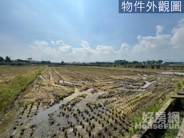 【苗栗高鐵站】新港段社腳小段美農地