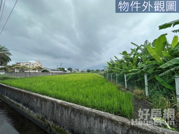 🌿吉安-廣豐社區優質環境美農地🌿