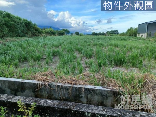 (專任)吉安華路二段路旁雙面路農地