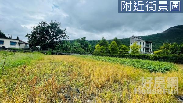 【專】花蓮壽豐溪口社區乙種建築用地25E021