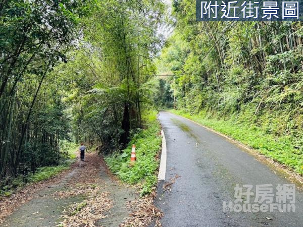 G132復興鄉色霧鬧林地2⭐️臨路誠售原住民保留