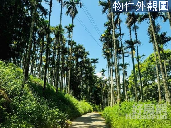 水里雨社山逐鹿古道景觀農牧用地(有合法資材室)