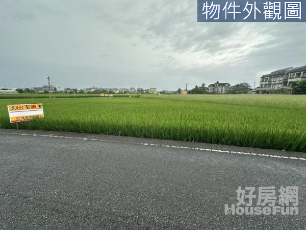 羅東運動公園旁竹林一段三角大面寬農地