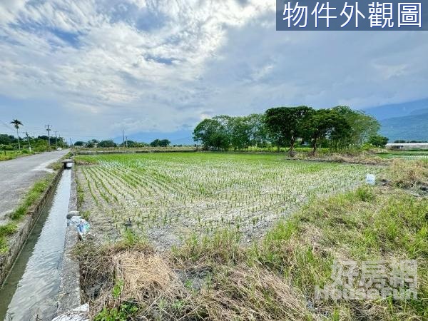 🌸壽豐雙面臨路臨溝平坦足坪好規劃農地⛰️