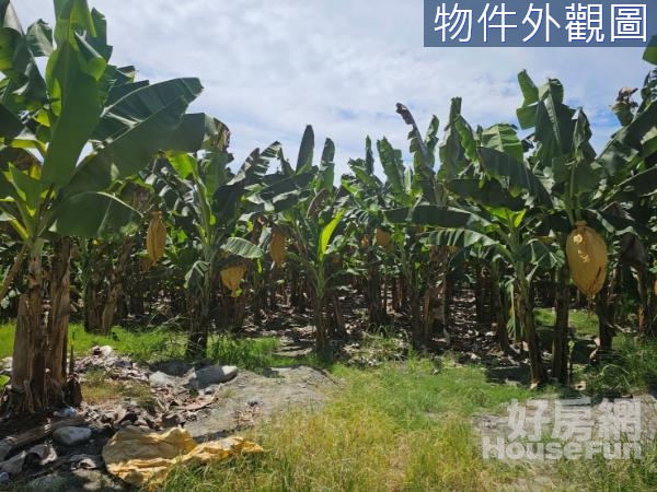 🔰花蓮壽豐足坪農牧用地UF1157