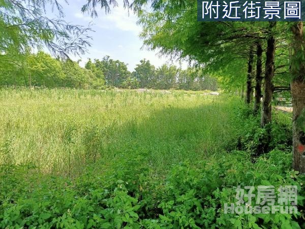 吉安水源充沛雙面★臨路方正優質農地