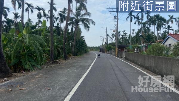 麟洛國小近省道雙面路農地