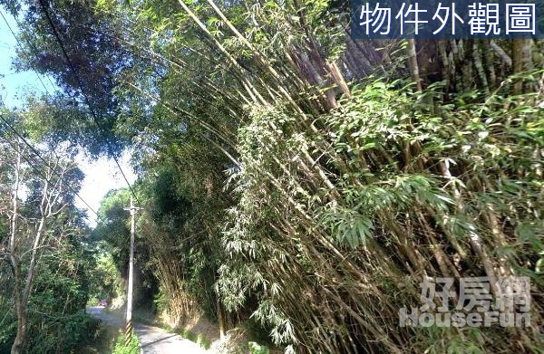 桃米坑賞螢秘農牧用地