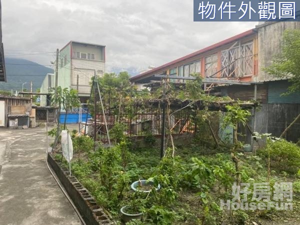 ✨獨家專售~吉安永興村莊內前後路建地近台九線✨