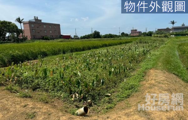 永安小坪數開心農場