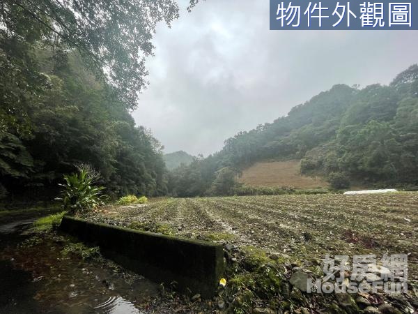 新北坪林仁里坂林地