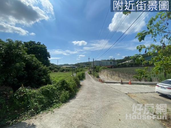 大樹龍目段近省道大地坪景觀休閒農地