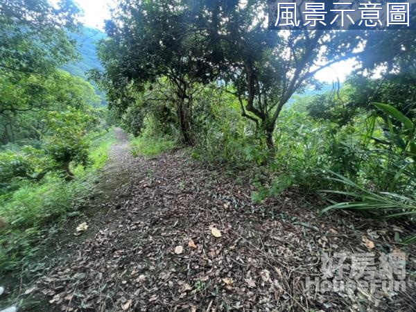 ★霧峰超低總價農牧用地～有水又有電