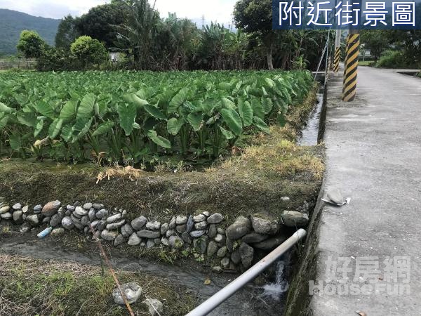 吉安鄉兩面路光英農地F