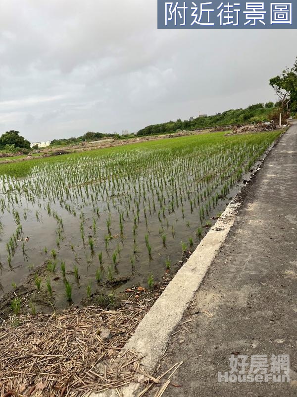 竹北新寮街大坪數臨路農地