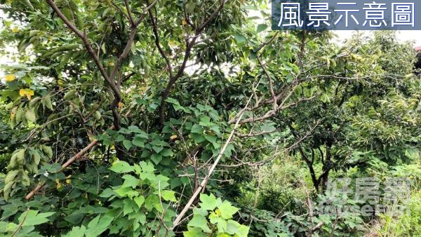 芎林都計內89公頃產業專區投資農地