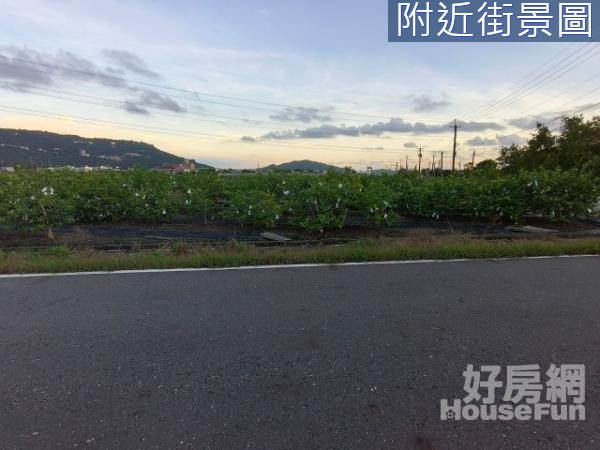 阿蓮崙子頂段🏖️🍎大岡山風景區休閒農地