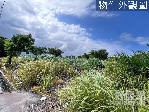 F268吉安南埔新天堂方正農地