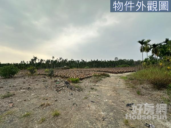 💡萬巒赤山營區15米路上農地一(V)山景環繞