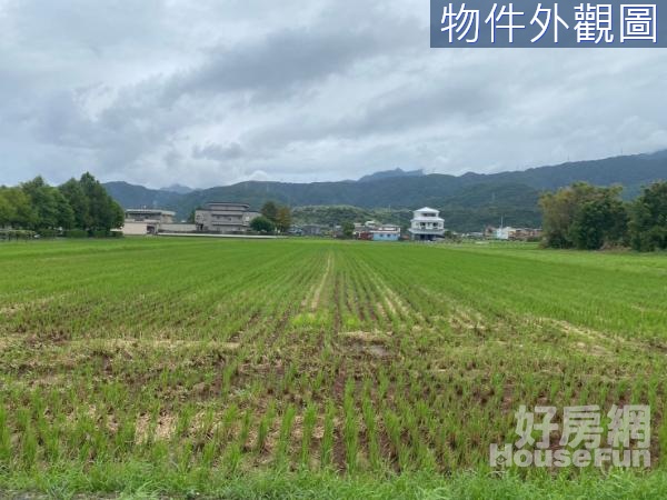 冬山雙拼配建農地