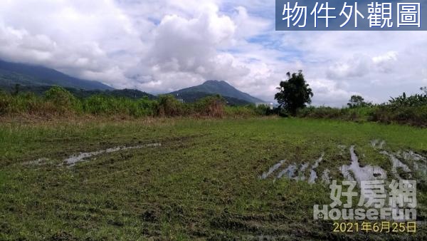 專售~花蓮壽豐鄉共和段農地  F077