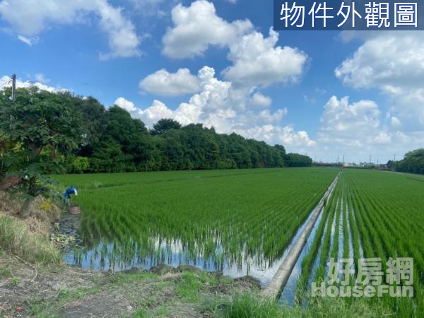 溪州交流道附近雙面路美田