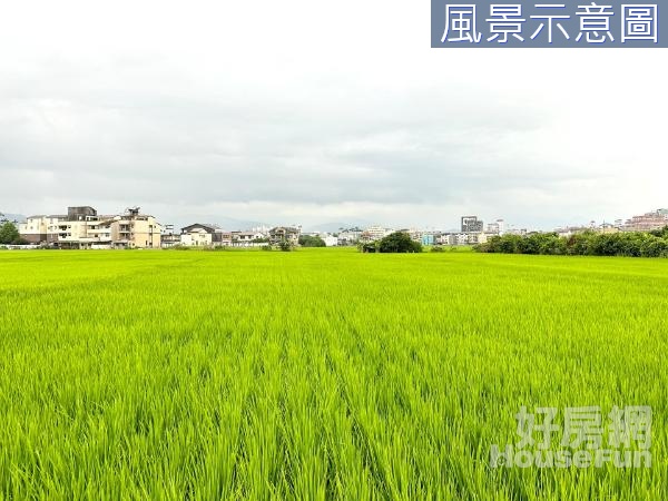 宜蘭運動公園旁珍珠段303坪小農地