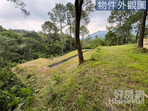 竹東【松林苑】休閒地｜自來水.電齊