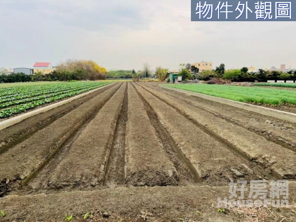 新水交流道農保田