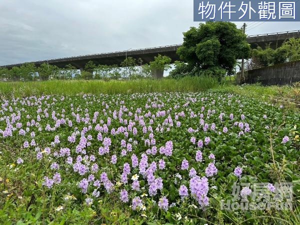 宜蘭市都市計劃內高速公路旁農建地