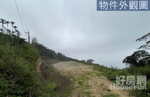 南投竹山露營地~地勢平坦好規劃