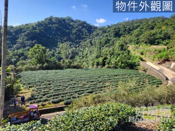 三星阿里史段一甲子地四景環繞優美茶園