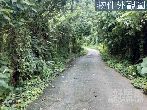 🌴瑞穗鄉鶴岡段美麗檳榔園農地🌴