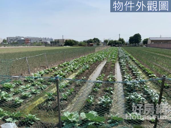 高雄林園捷運潛力都內農地