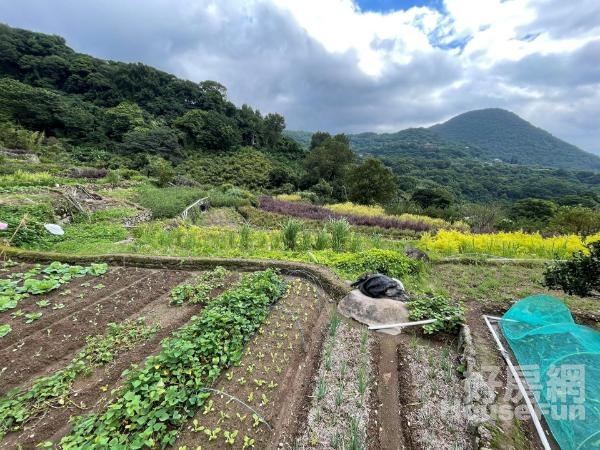 花採梯田樂活農場