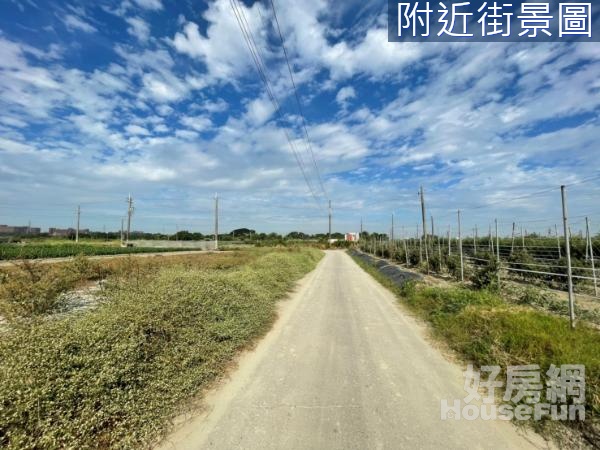 阿蓮中路適投資漂亮農地