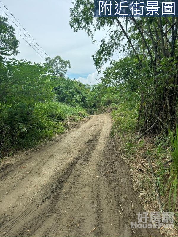 旗山近財神廟一甲山坡農地有電表 ,有資材室