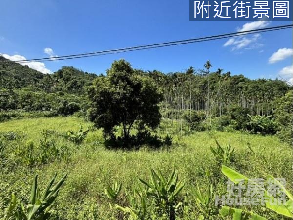 嘉義住商一銀 豆讚咖啡莊園俗農地 低總價